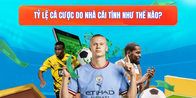 Tỷ lệ cá cược do nhà cái tính như thế nào?
