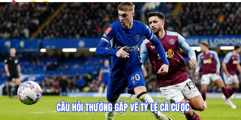 Câu hỏi thường gặp về tỷ lệ cá cược